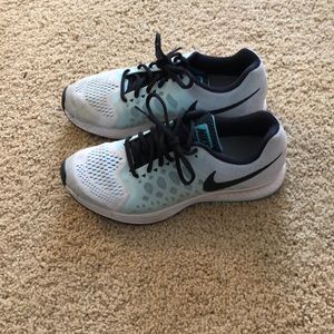 Nike Zoom Pegasus 31